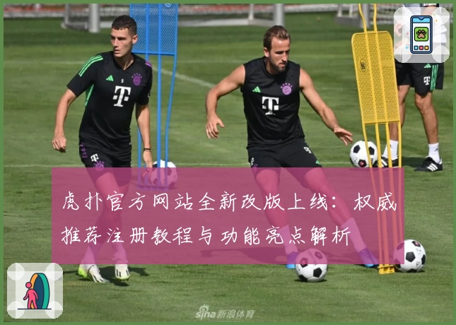 虎扑官方网站全新改版上线：权威推荐注册教程与功能亮点解析