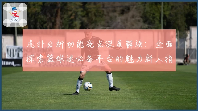 虎扑分析功能亮点深度解读：全面探索篮球迷必备平台的魅力新人指南