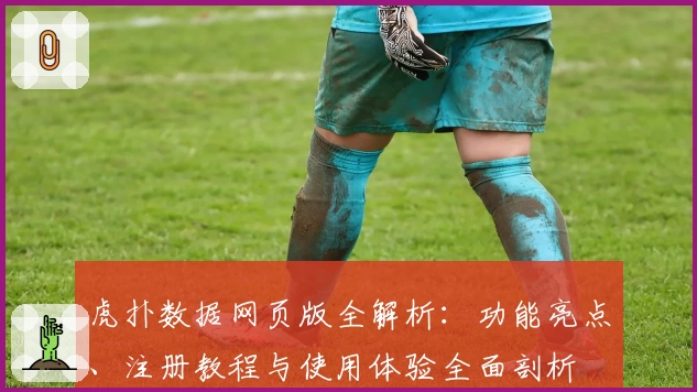 虎扑数据网页版全解析：功能亮点、注册教程与使用体验全面剖析